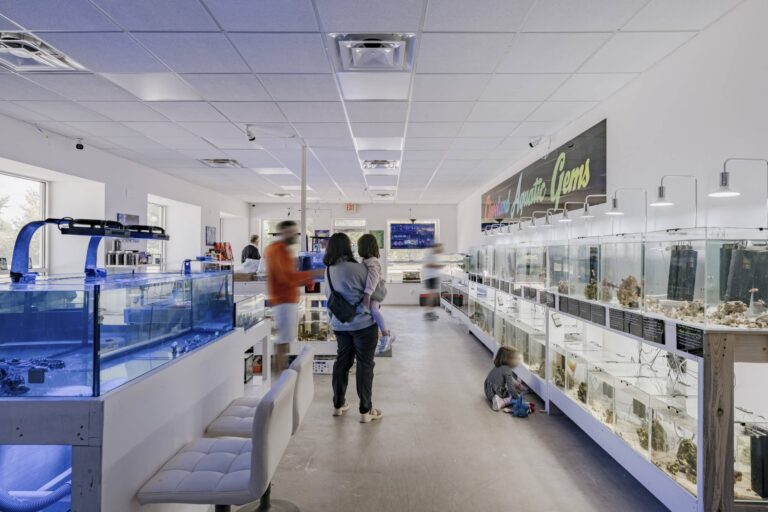 Interior of an aquarium store with people browsing. Several fish tanks line the walls, filled with water and aquatic decorations. A woman is holding a child while looking at a tank. Another child sits on the floor, playing with a toy near the tanks. The store is well-lit with modern lighting and has a clean, spacious layout.